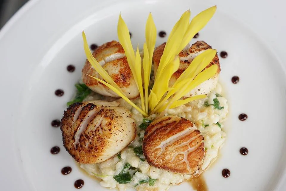 Scallops.jpg