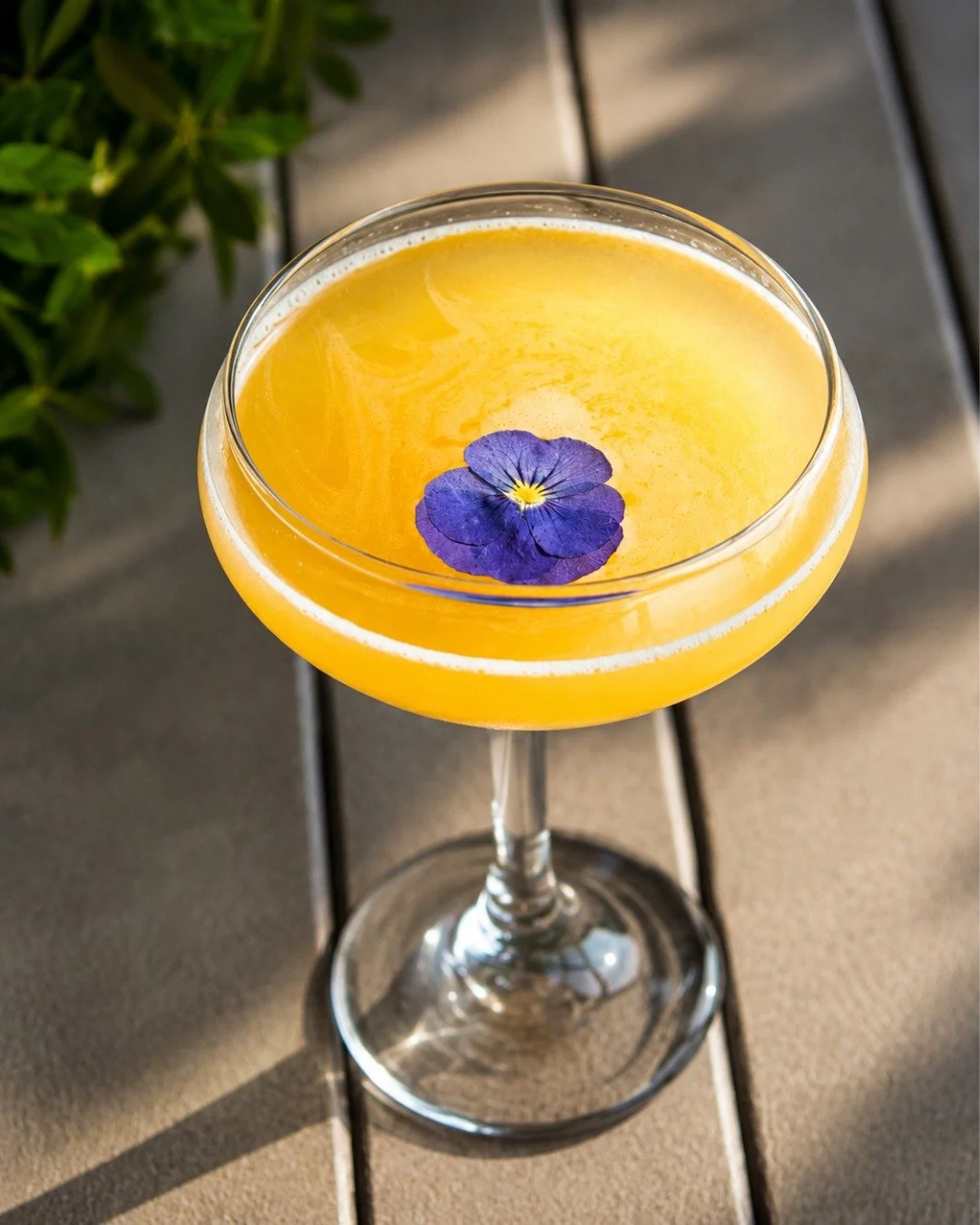 Golden hour in a glass. ✨ 
Meet the Adult Swim: Hendrick&rsquo;s Gin, Rockey&rsquo;s Botanical Liqueur, Lemon, Peach Pur&eacute;e, and Honey shaken into the kind of cocktail summer was made for.