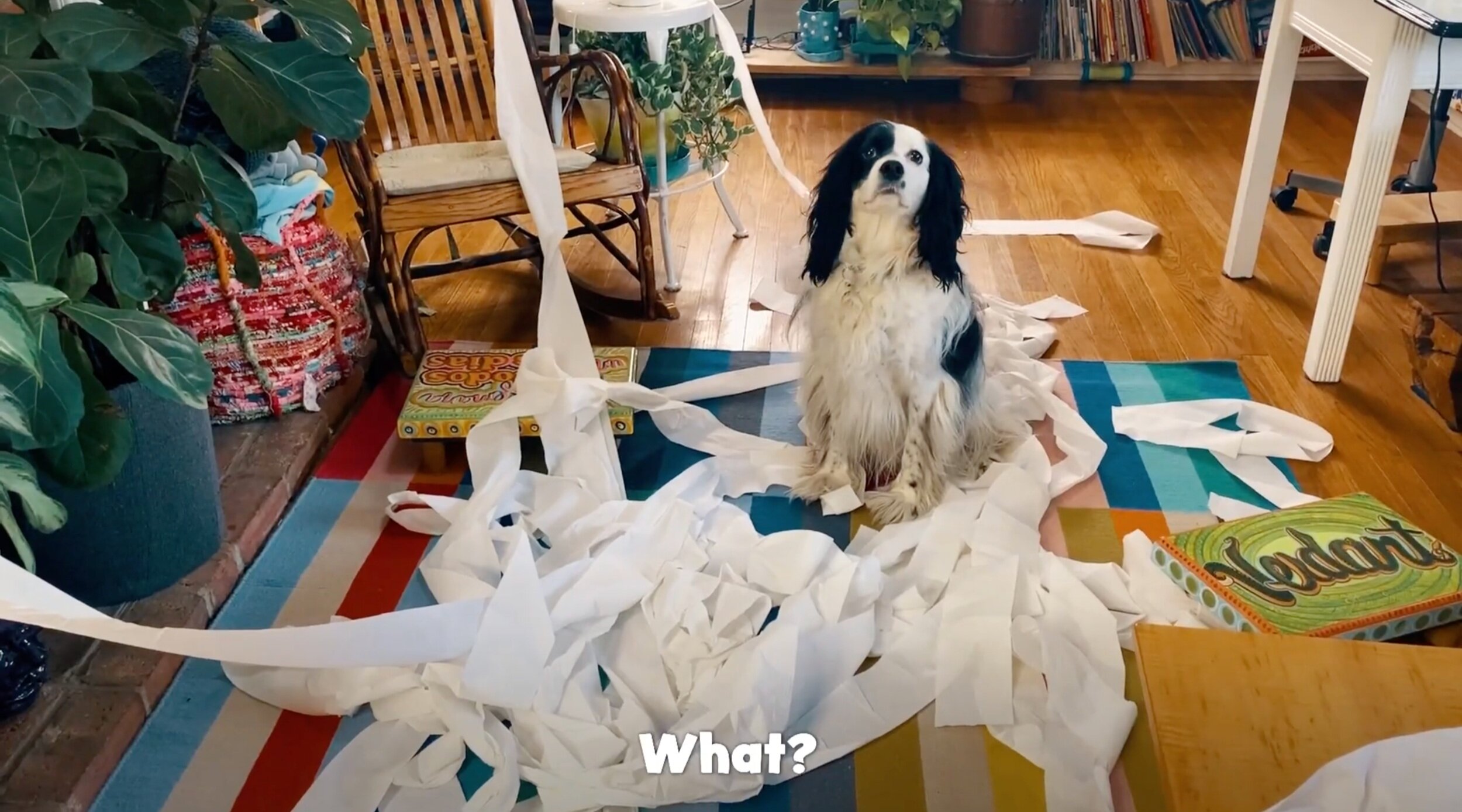 A Positive Spin on Things