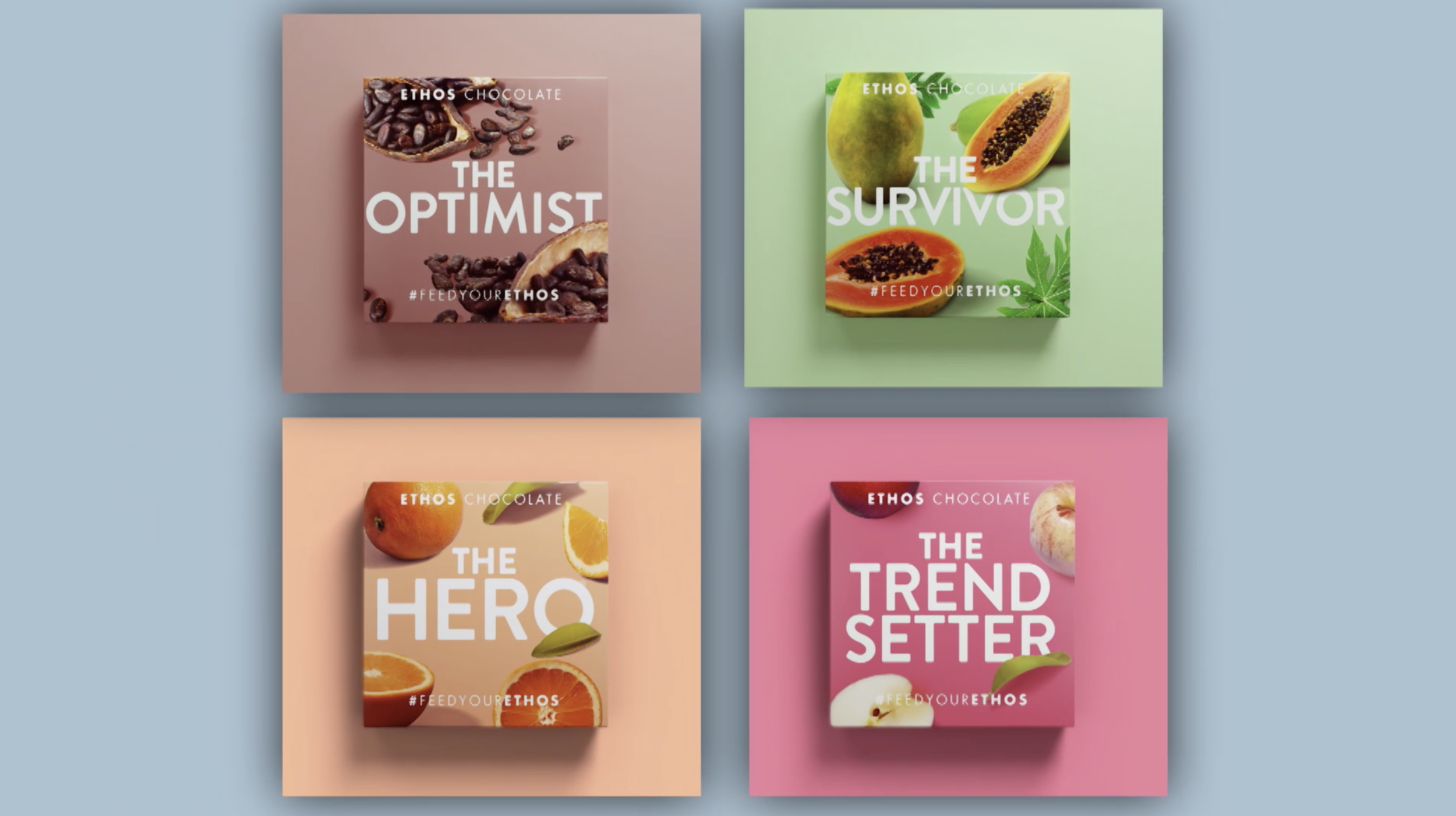 Ethos Chocolate Case Study