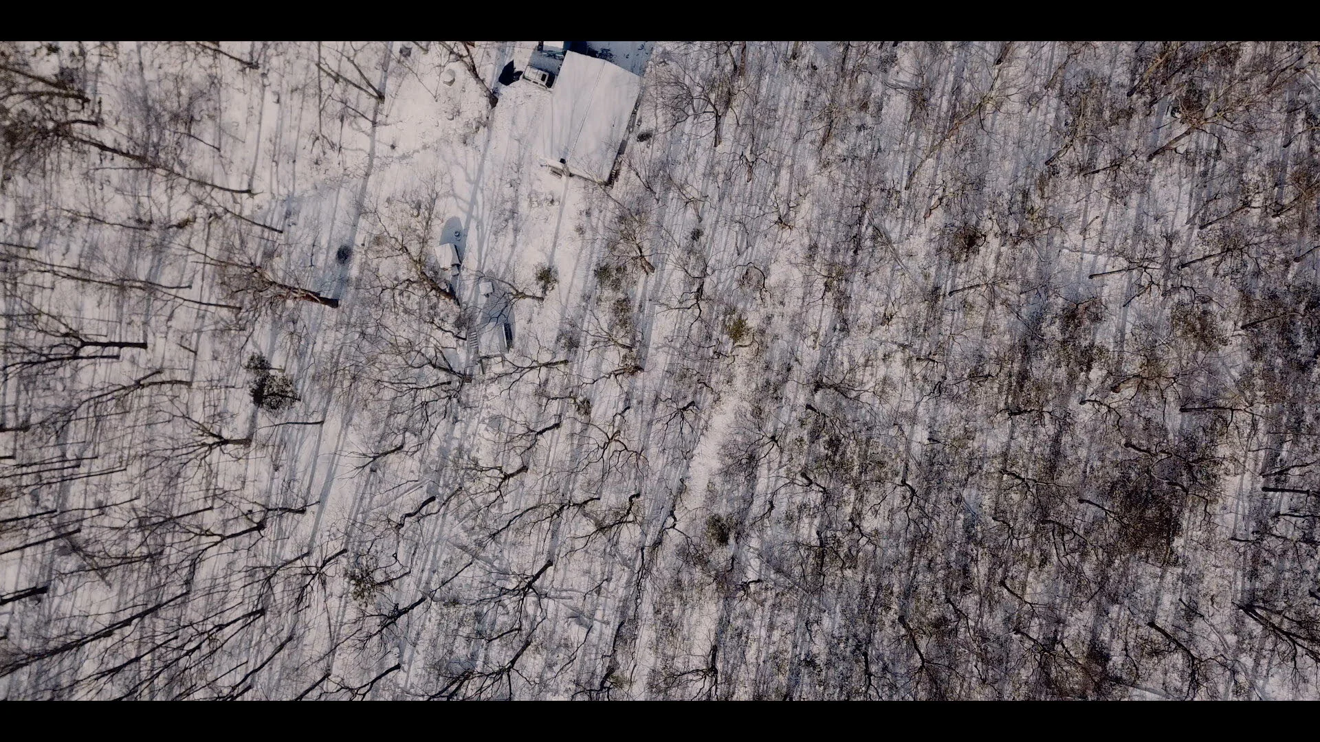 Website_Stills.00_07_11_23.Still022.jpg