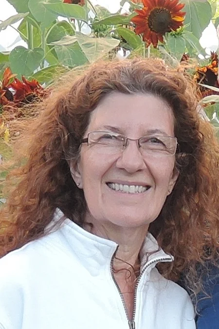 Vermilion Arts Guild's Janet Waggoner: Painting the Town