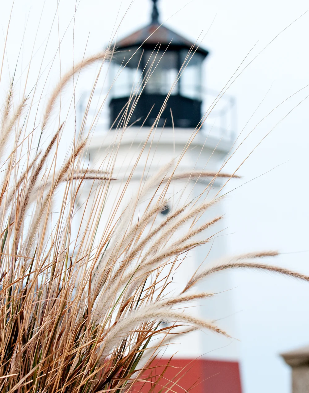 Vermilion Named One of the Best Coastal Towns by USA Today