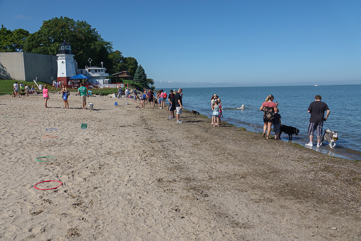 DSC08113 (RX10mkIV).jpg