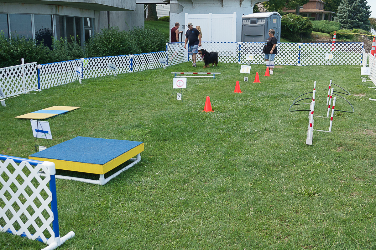 DSC08463 (RX10mkIV).jpg