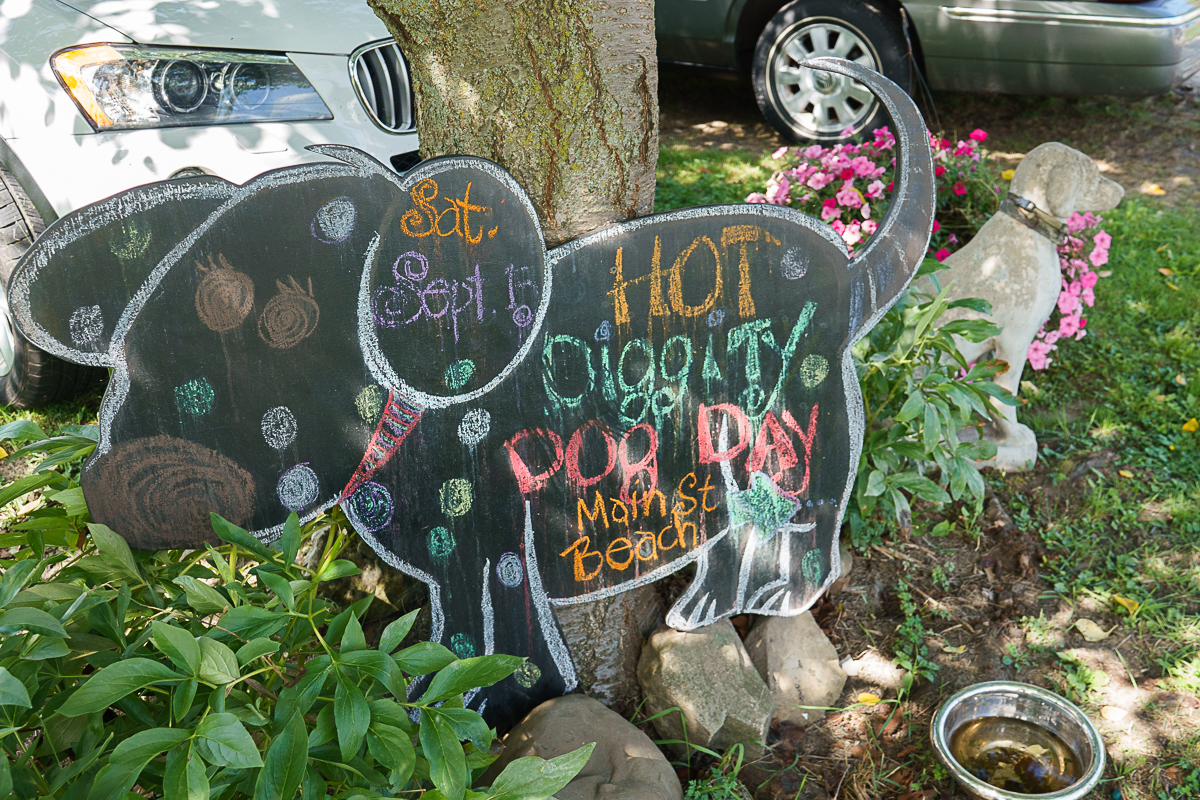 DSC08519 (RX10mkIV).jpg