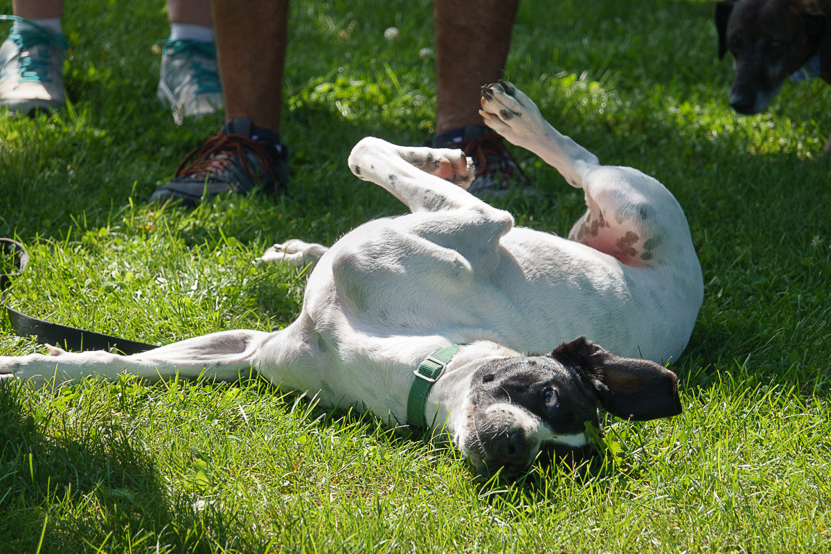 DSC08670 (RX10mkIV).jpg