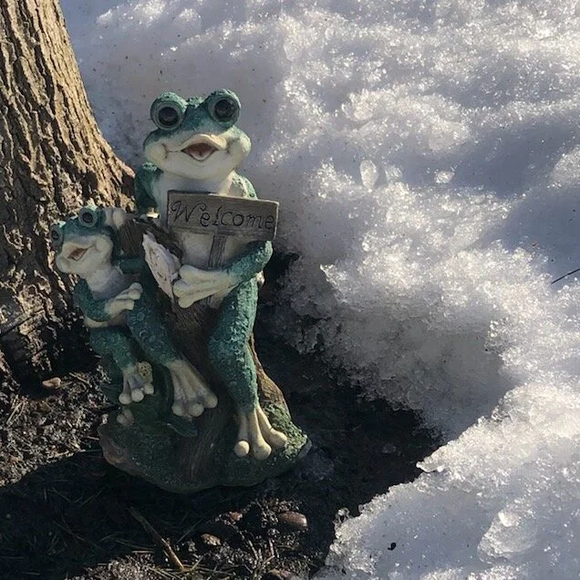 A Frog Blog: Hide, Seek and Sip!