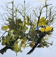 Eileen Rockwell:  An Abundance of Creativity