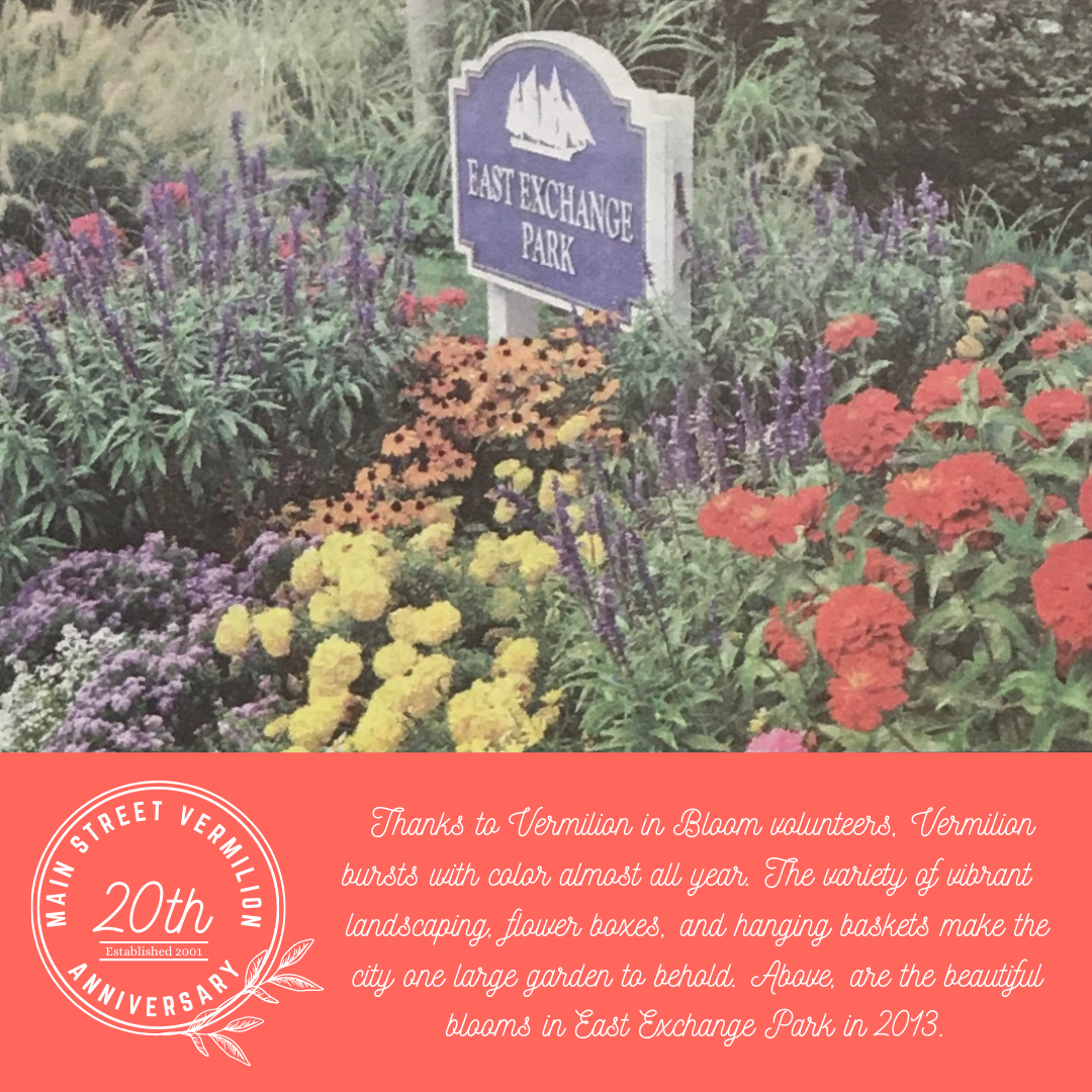 Looking Back...Vermilion in Bloom