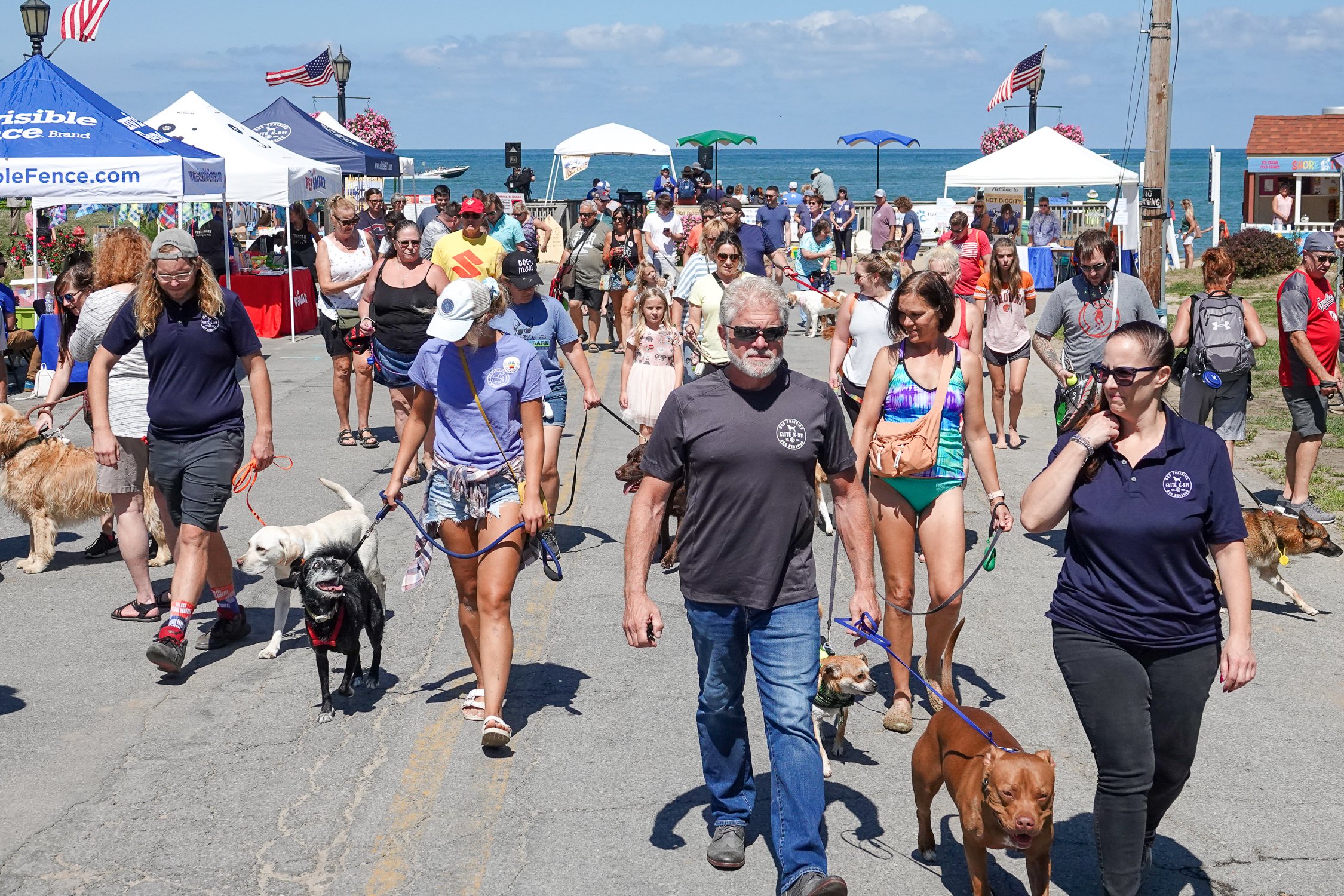 Elite K911 Dog Training's Pack Walk