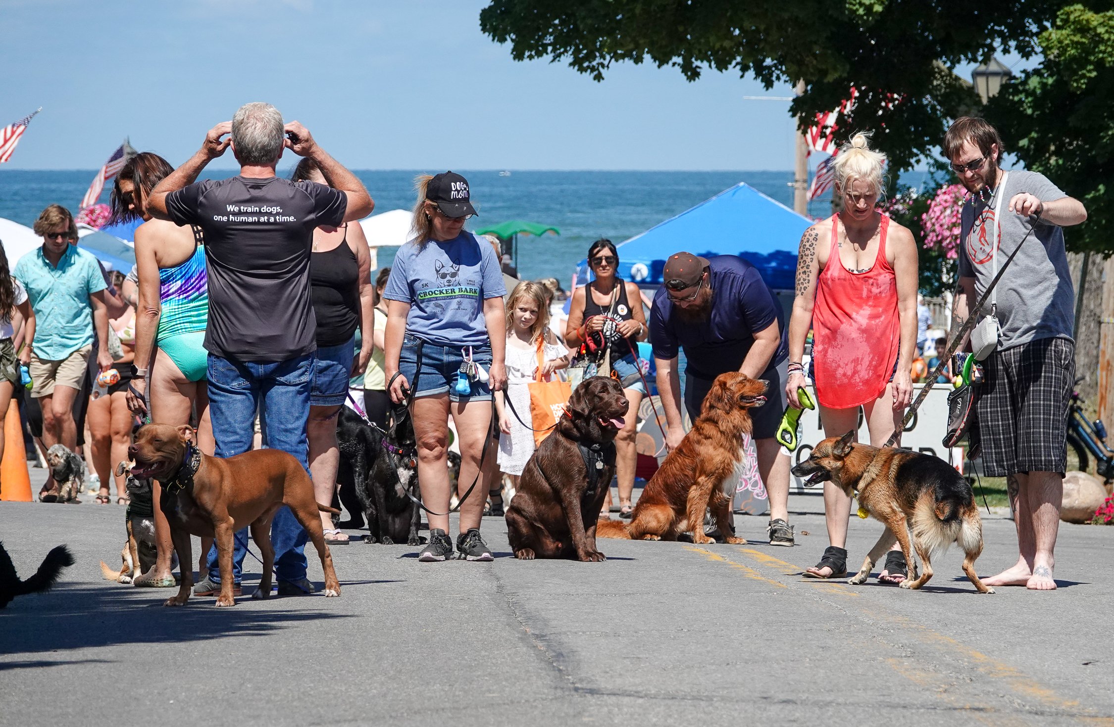 Elite K911 Dog Training's Pack Walk