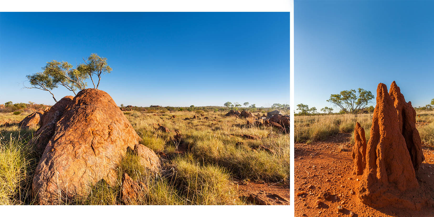 Australian Bush