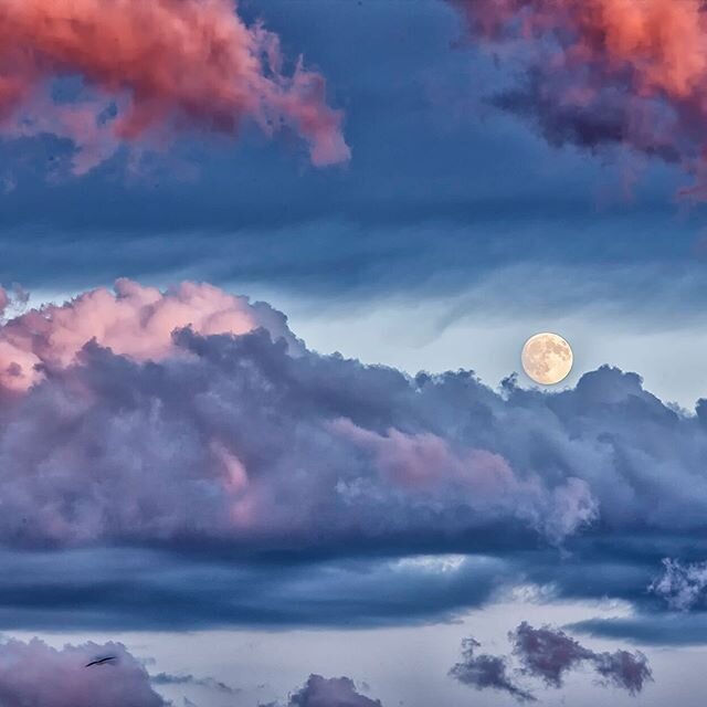 Photo shooting by K Pictures.

#canonphotography #fineart #fineartphotography #bluesky #moon #cloud #australia #australiagram_nsw #brisbane