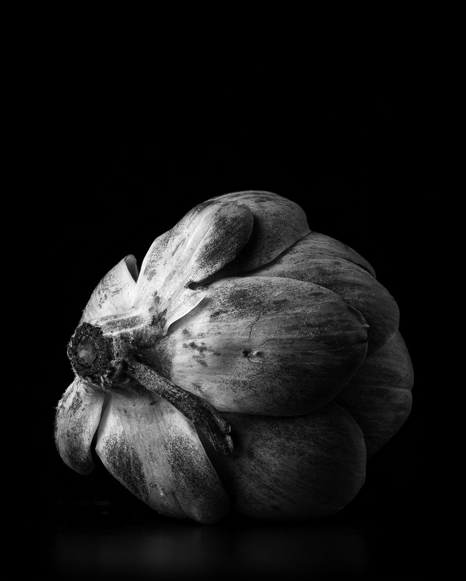 Artichoke-B&W-Final.jpg