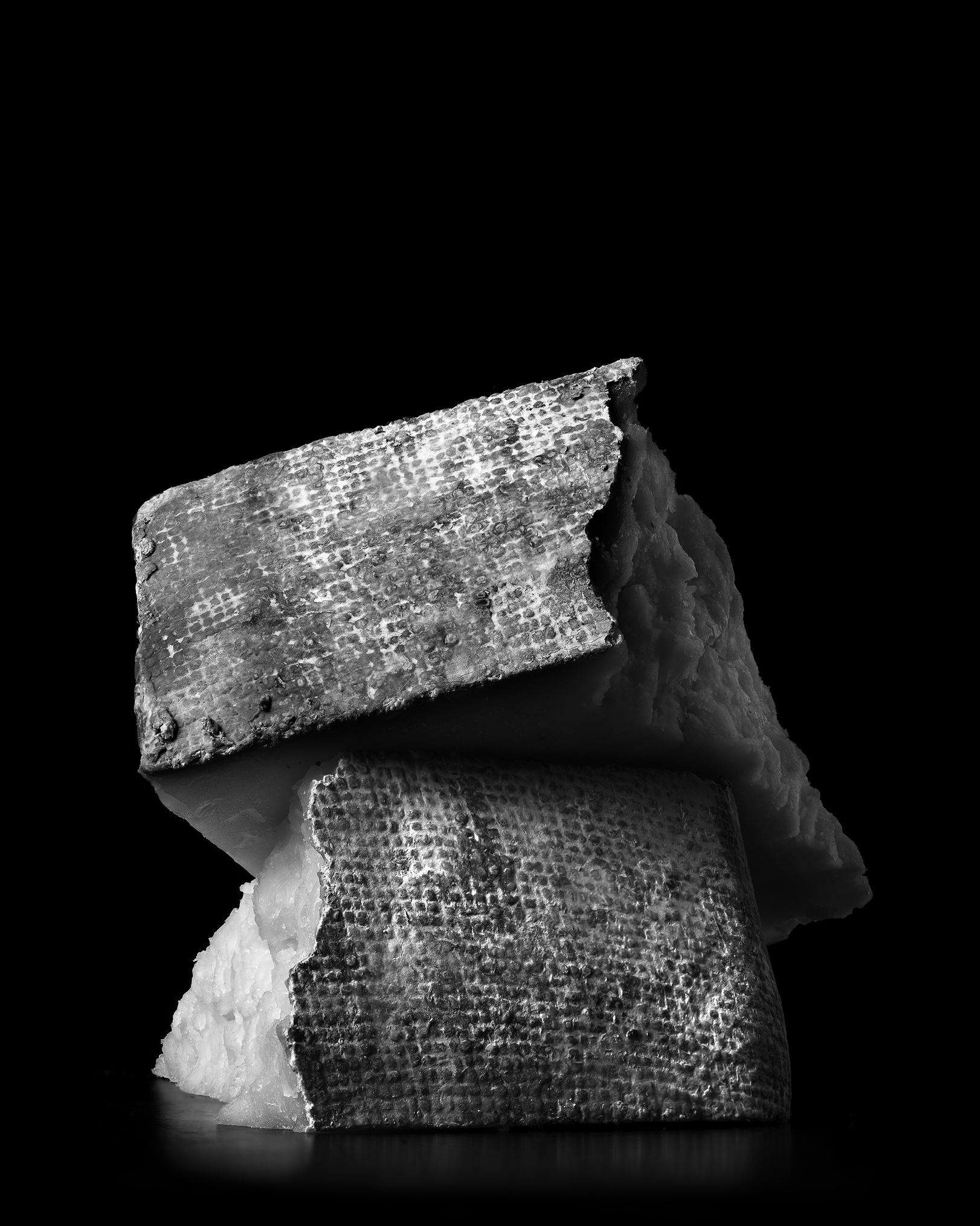 Catalet-Cheese-B&W-PhotoPlace.jpg
