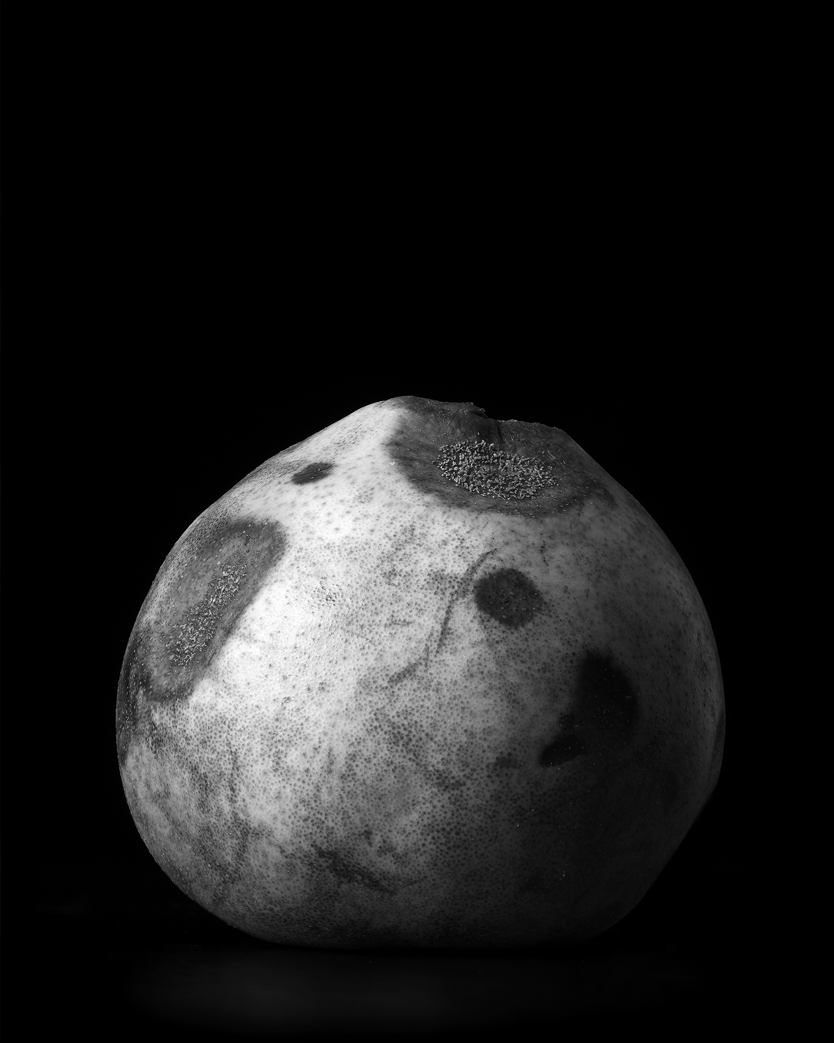 Pear_B&W-Final.jpg
