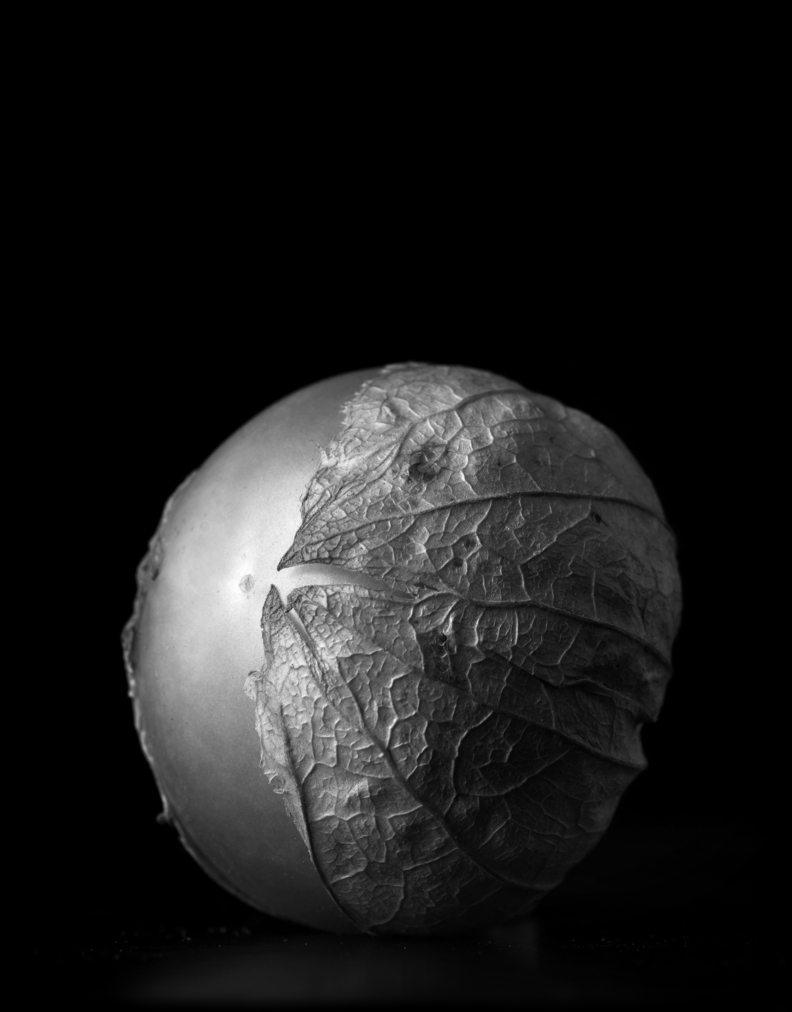 Tomatillo_0045.jpg