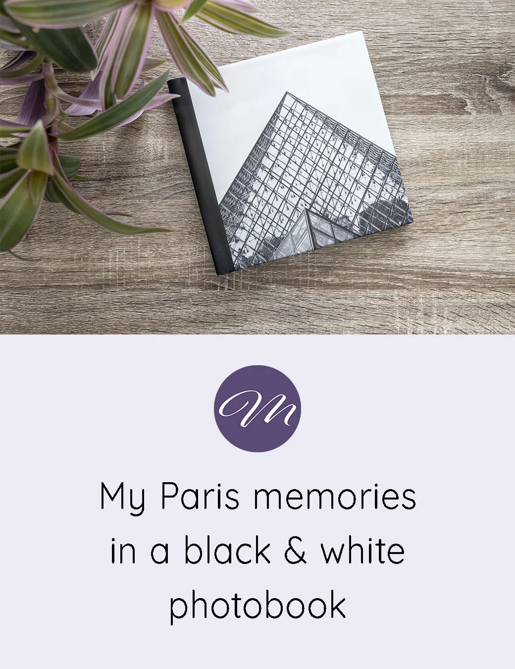  Paris photography 