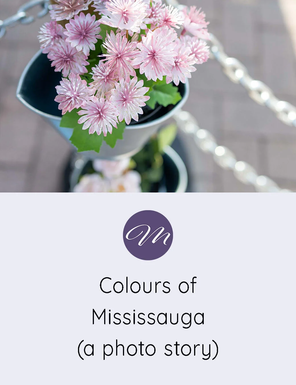  Mississauga photography 