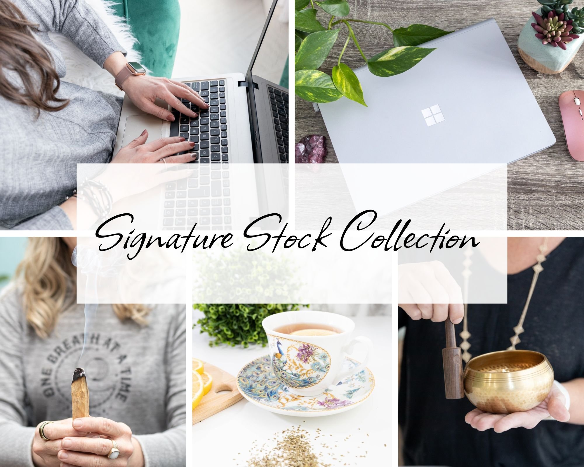 Signature Stock Collection