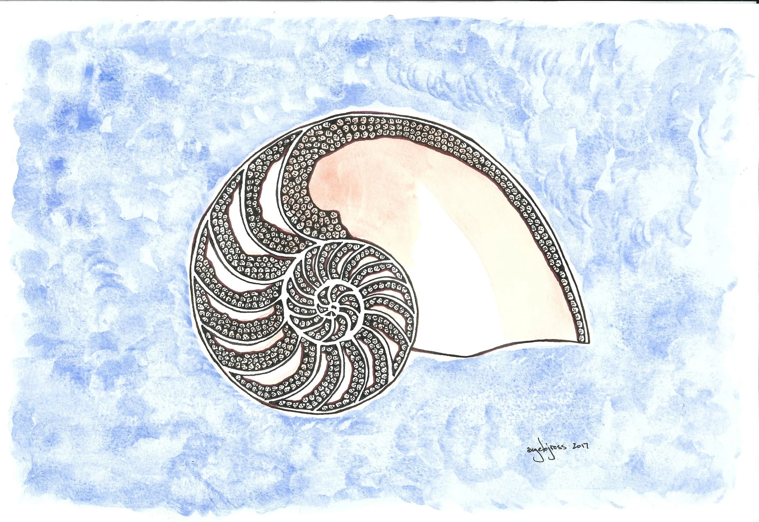 Nautilus of Doom. Watercolor and ink