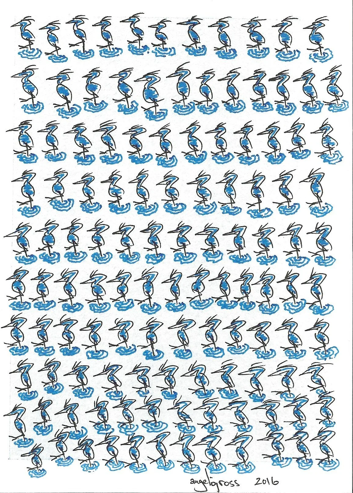 118 Herons. Pen and ink