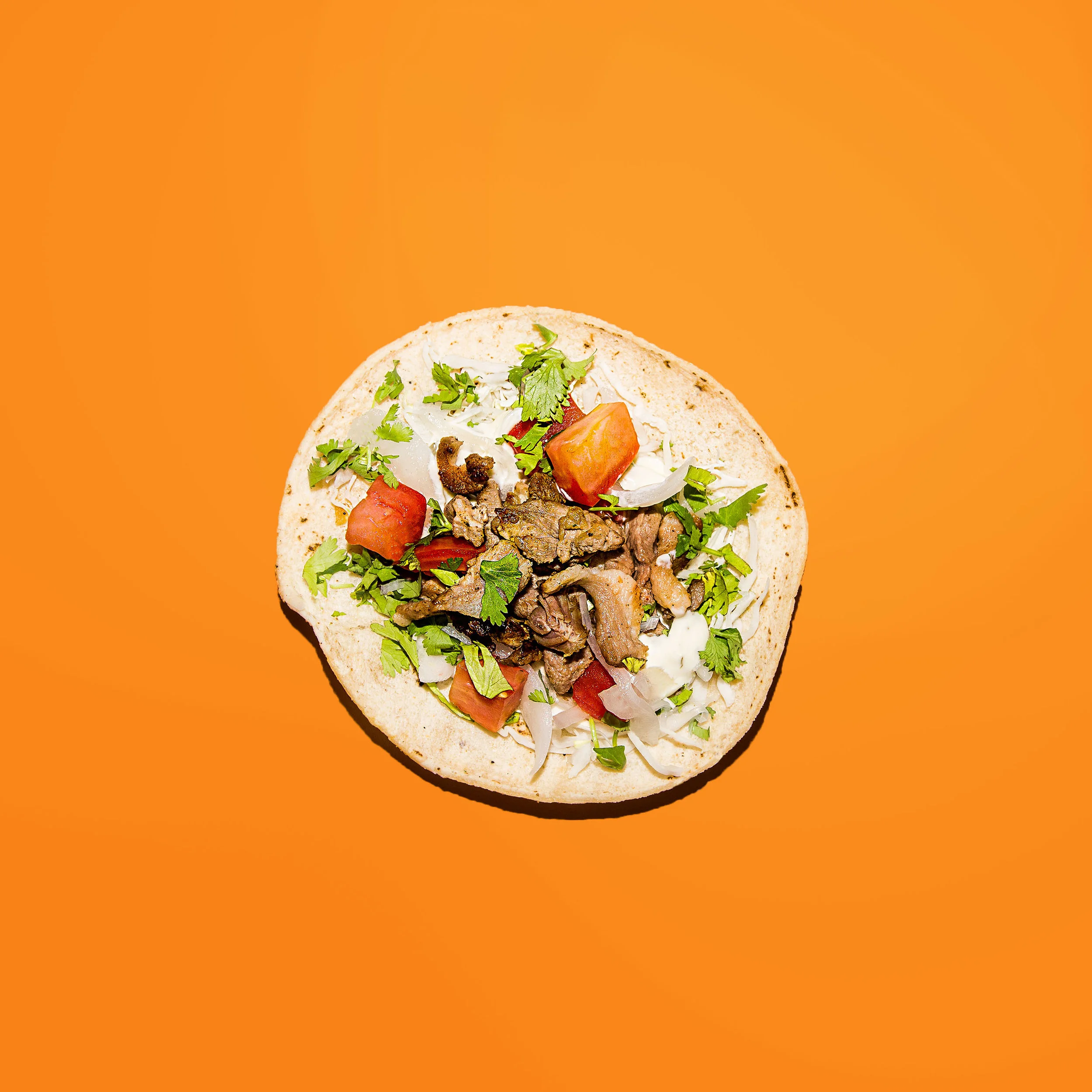 Taco 8.jpg