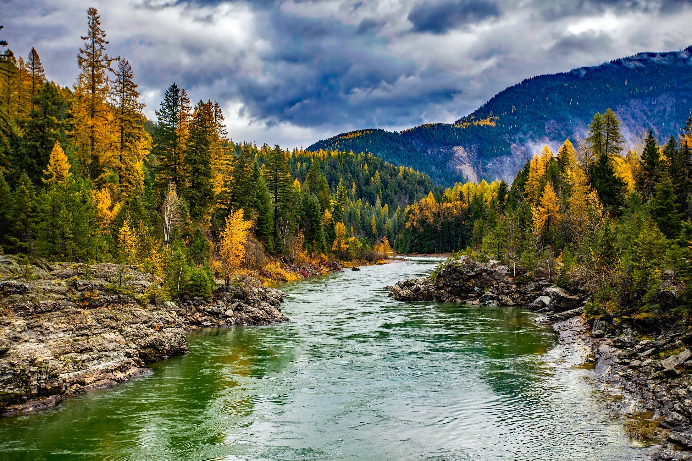 autumn-clouds-conifers-247474.jpg