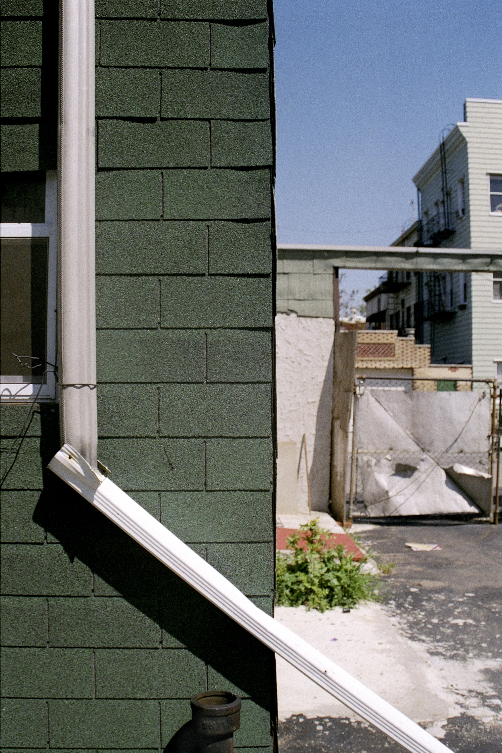 BROOKLYN BACKYARD 3 SMALL.jpg