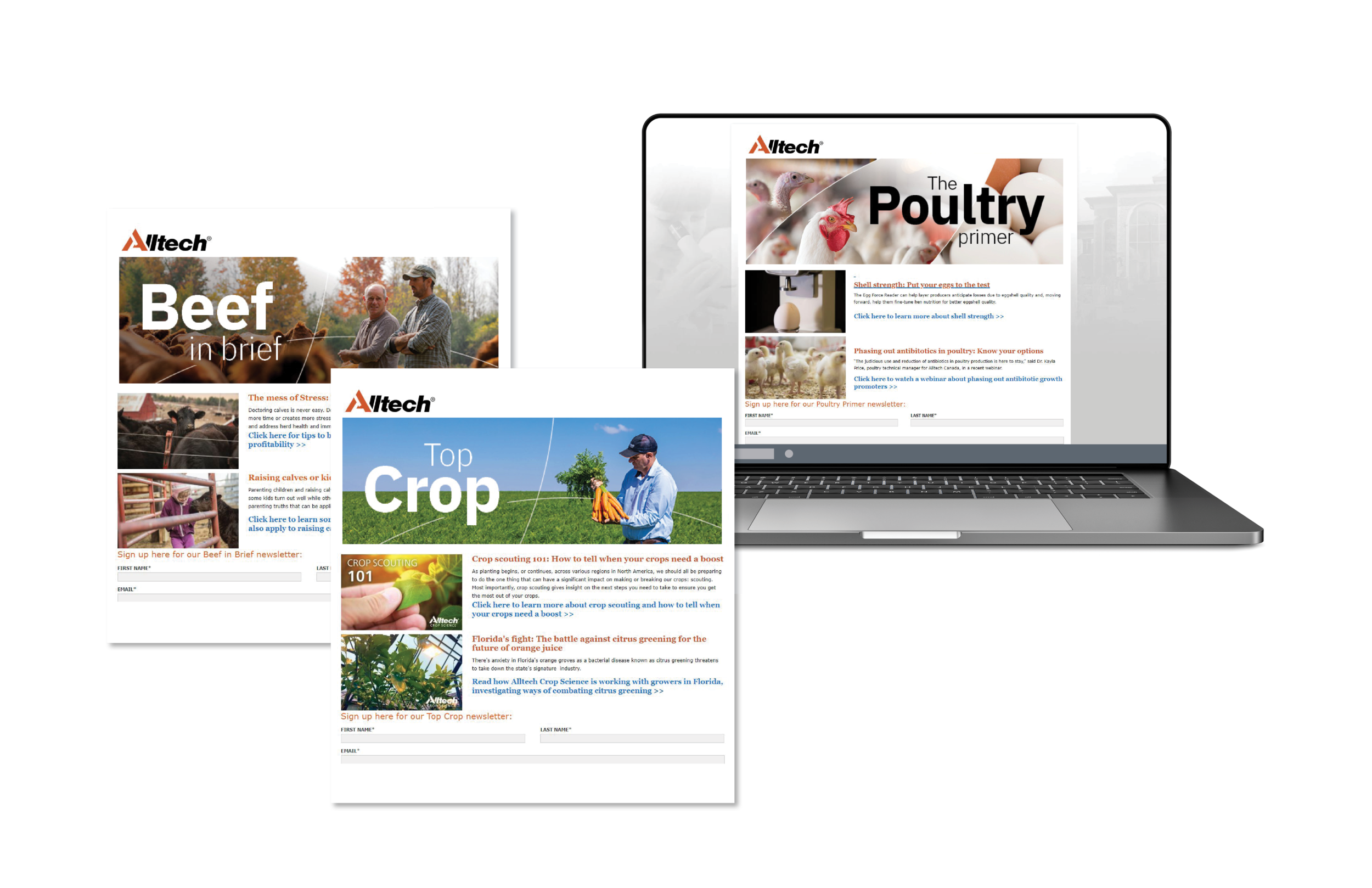 Portfolio-3-For Website4.png