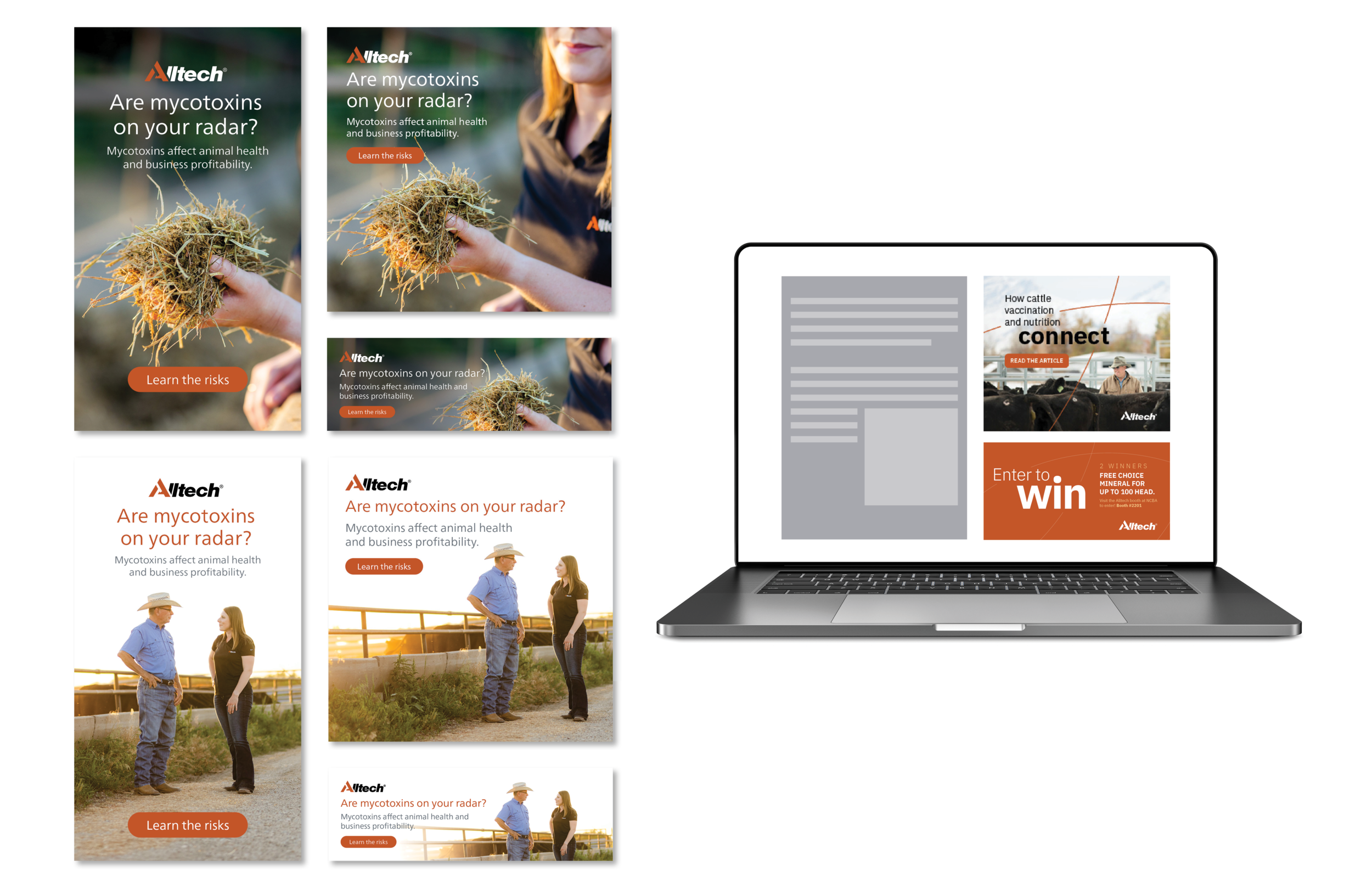 Portfolio-3-For Website5.png
