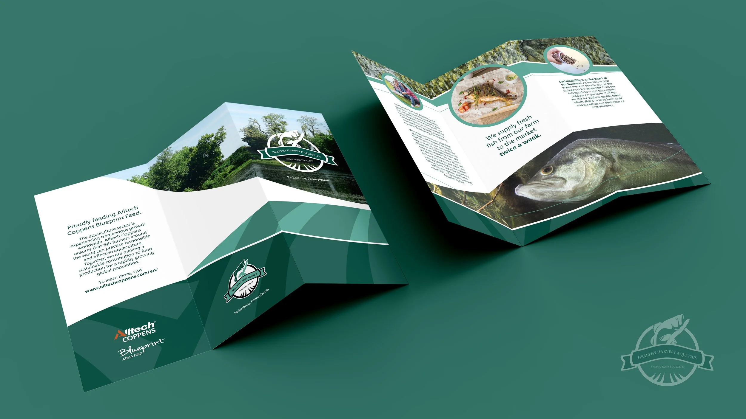 HHA Trifold MockUp.jpg