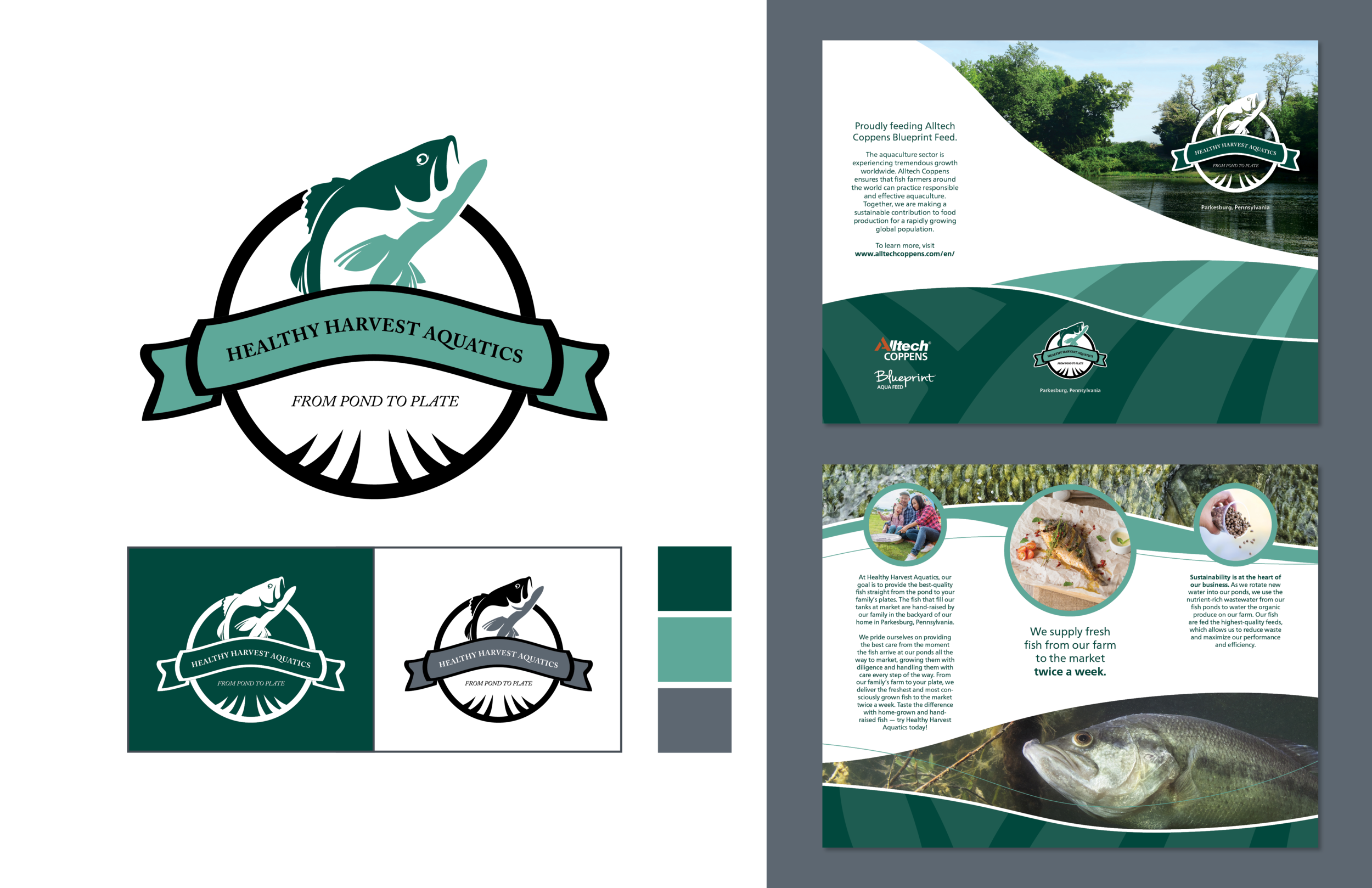 Portfolio-3-For Website6.png