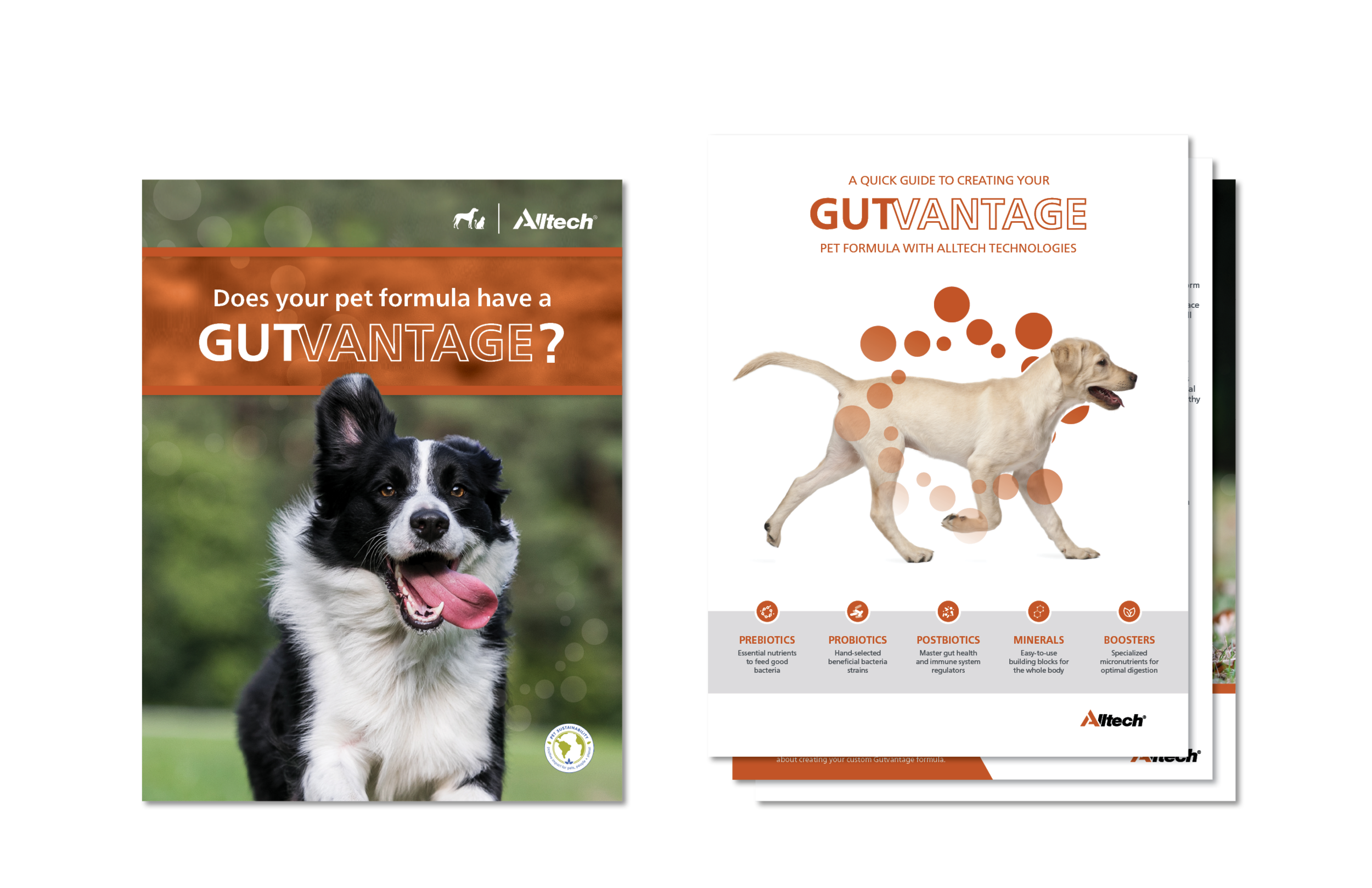 Portfolio-2-For Website9.png