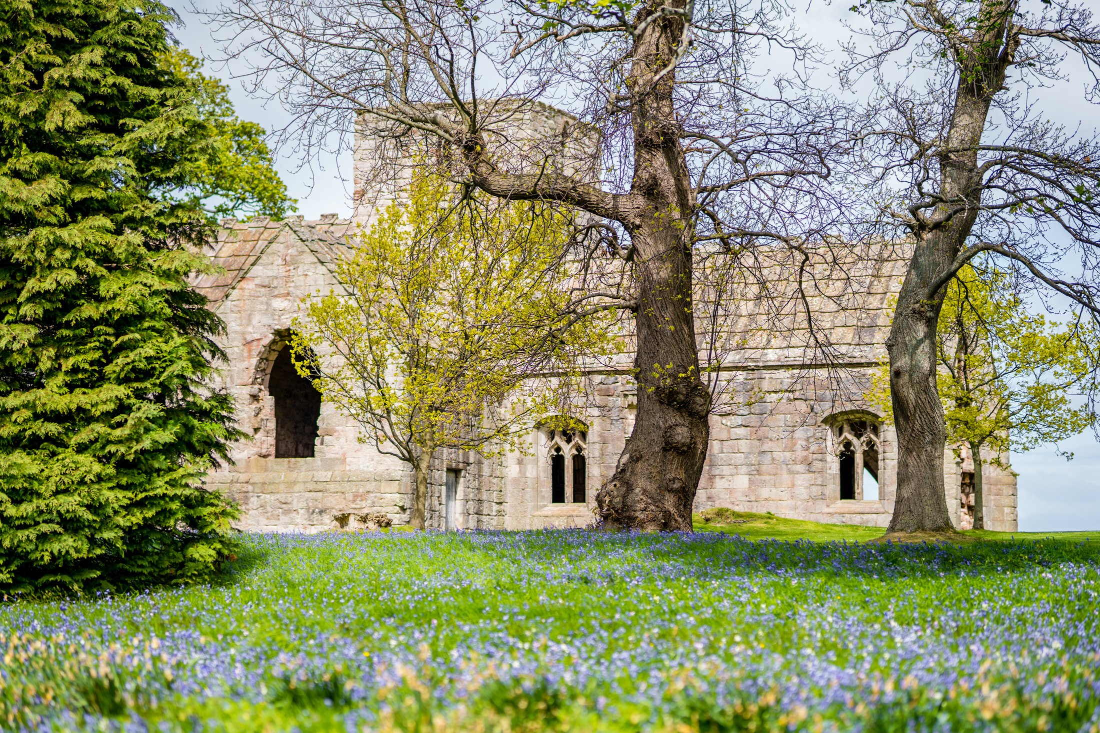 Dunglass Estate Wedding-47.jpg