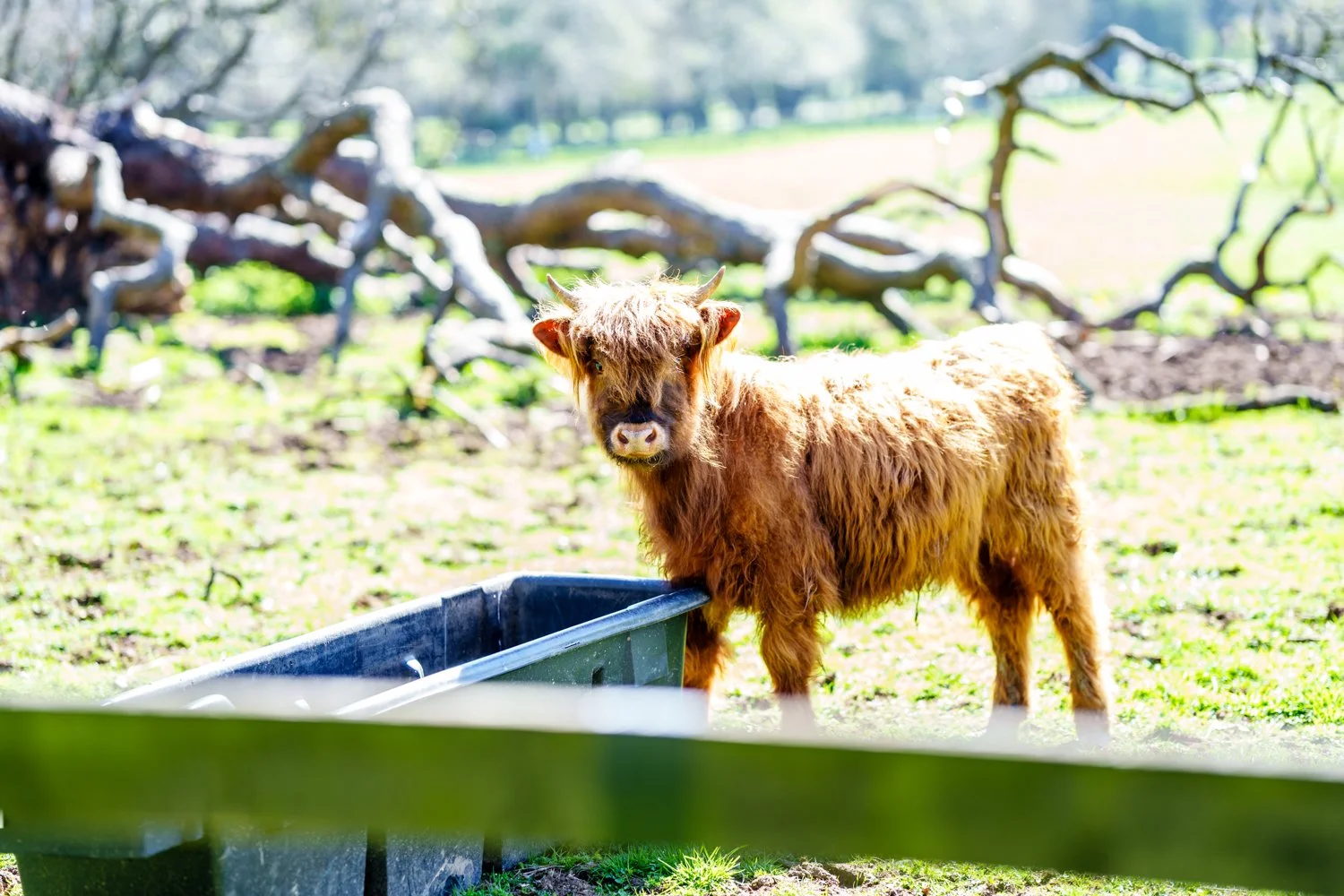 Carlowrie Castle Wedding-97.jpg