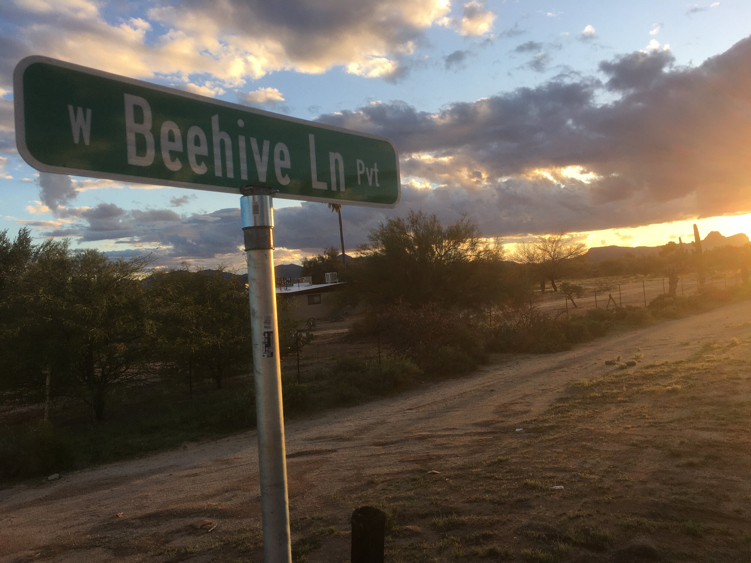 Beehive Lane.JPG