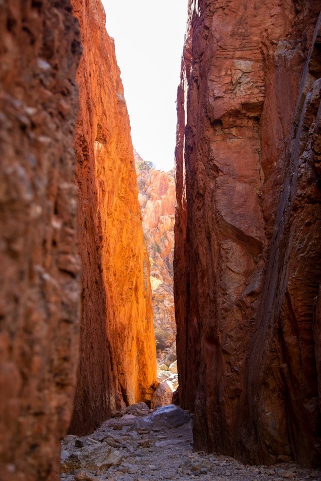 This Week's Recommendations