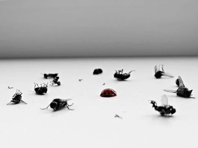 Pest Control and the Human Heart