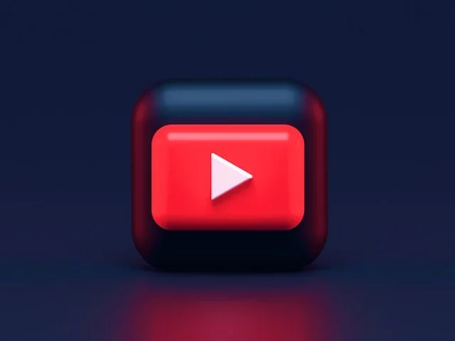 The Bee Hive In Video