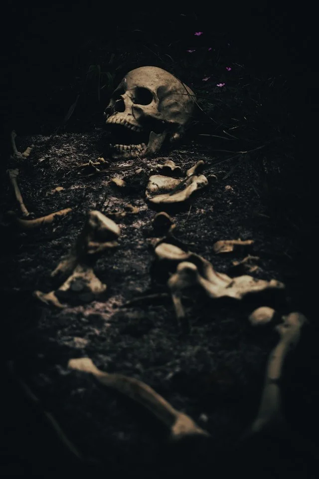 The Healing Horror of the Apocalypse