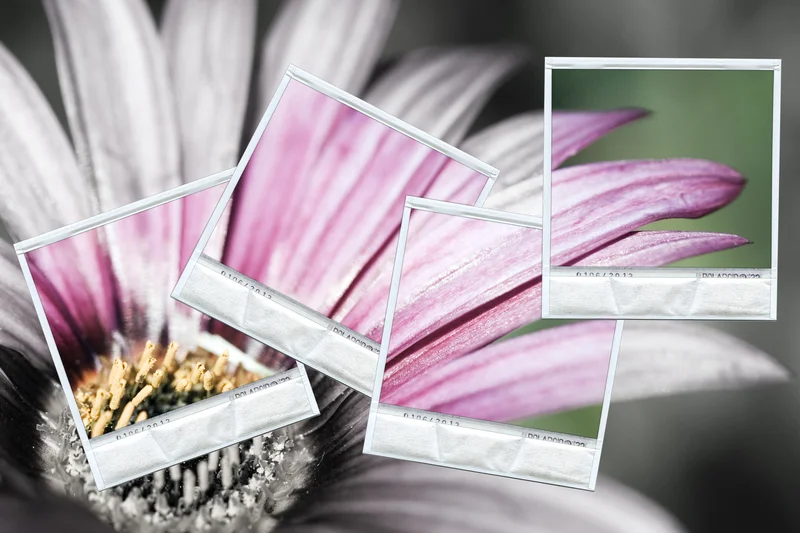 Regalo Liberador Pt. 2 (Éxodo 32)