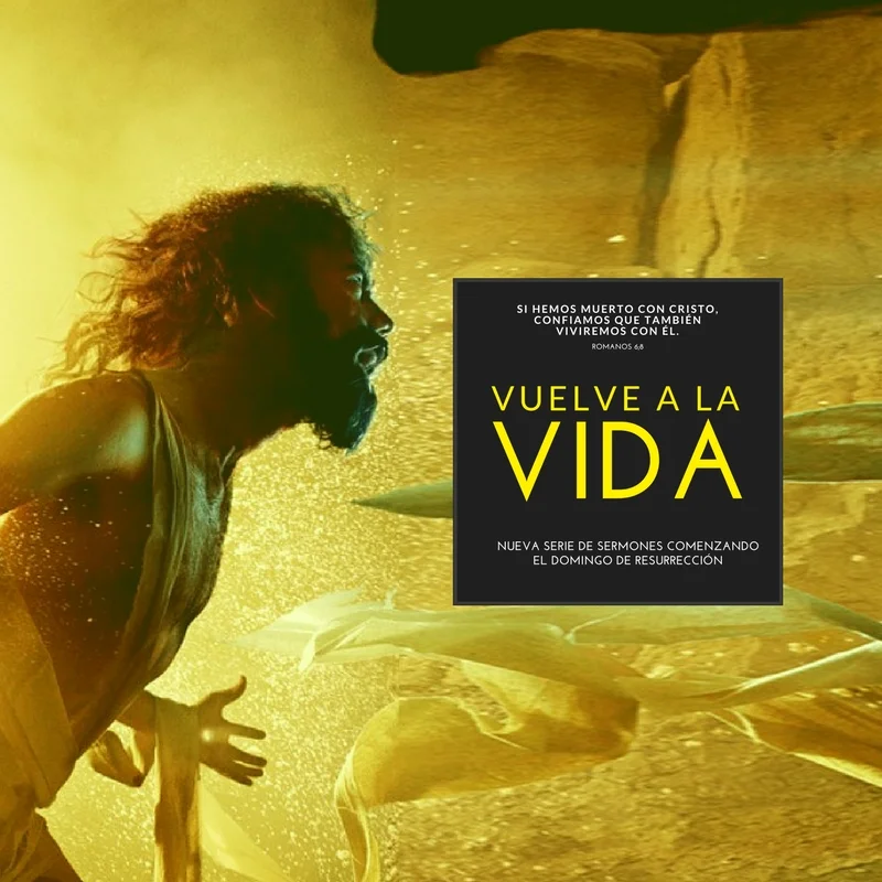 Vuelve A La Vida: Juan 20:1-29