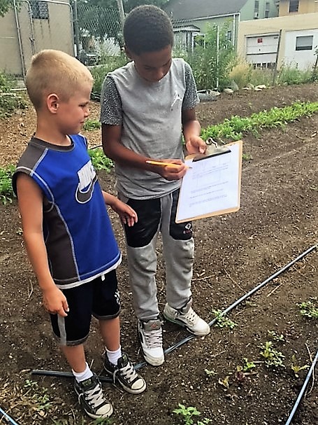   Young farmers at work ...  