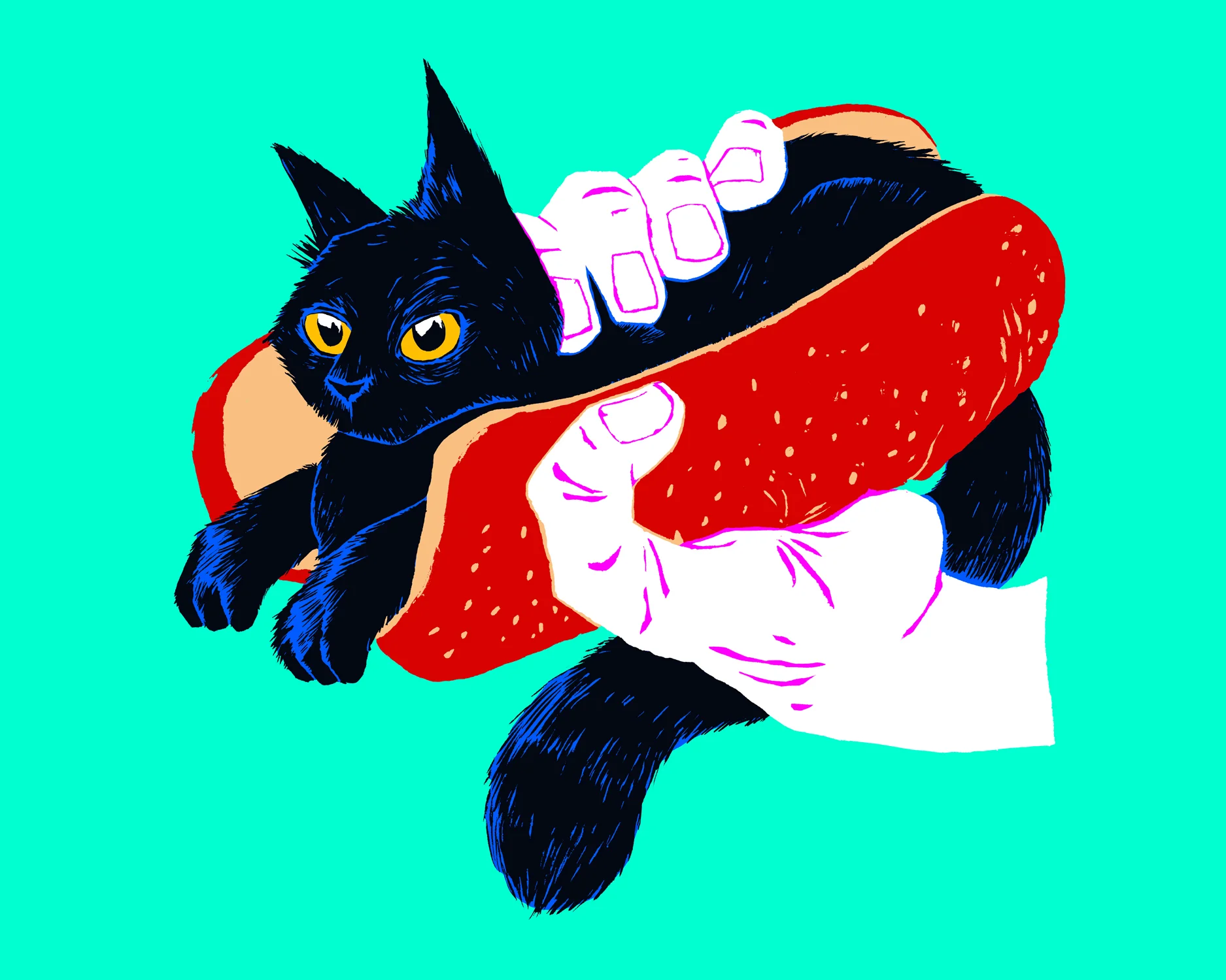 hotcat.jpg