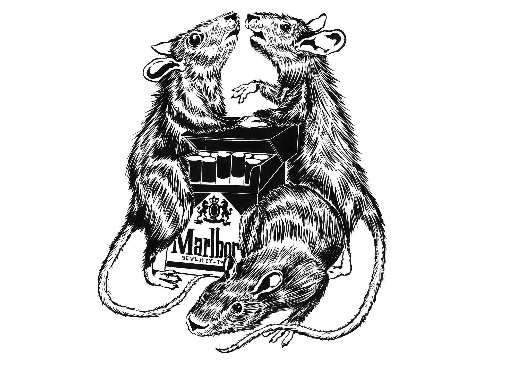 8-ink.jpg