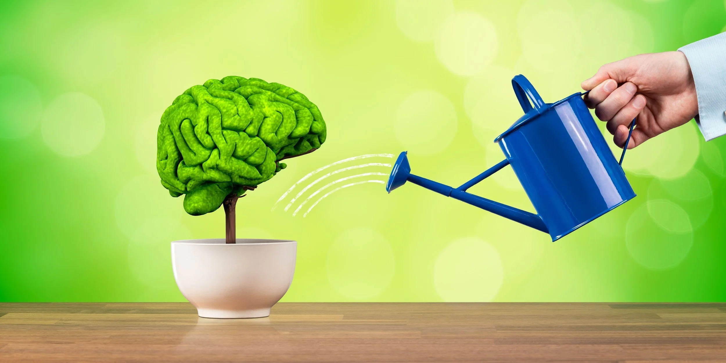 Elemental Keys of Memory Improvement Methods to Master CPA Exams