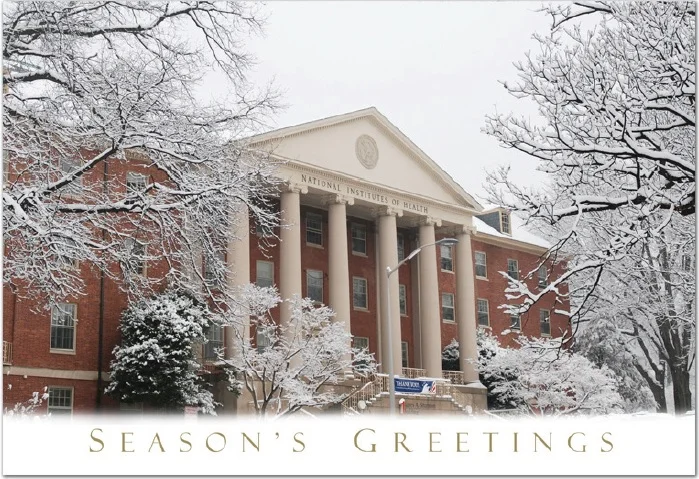 Building 1 Seasons Greetings Cards.jpg