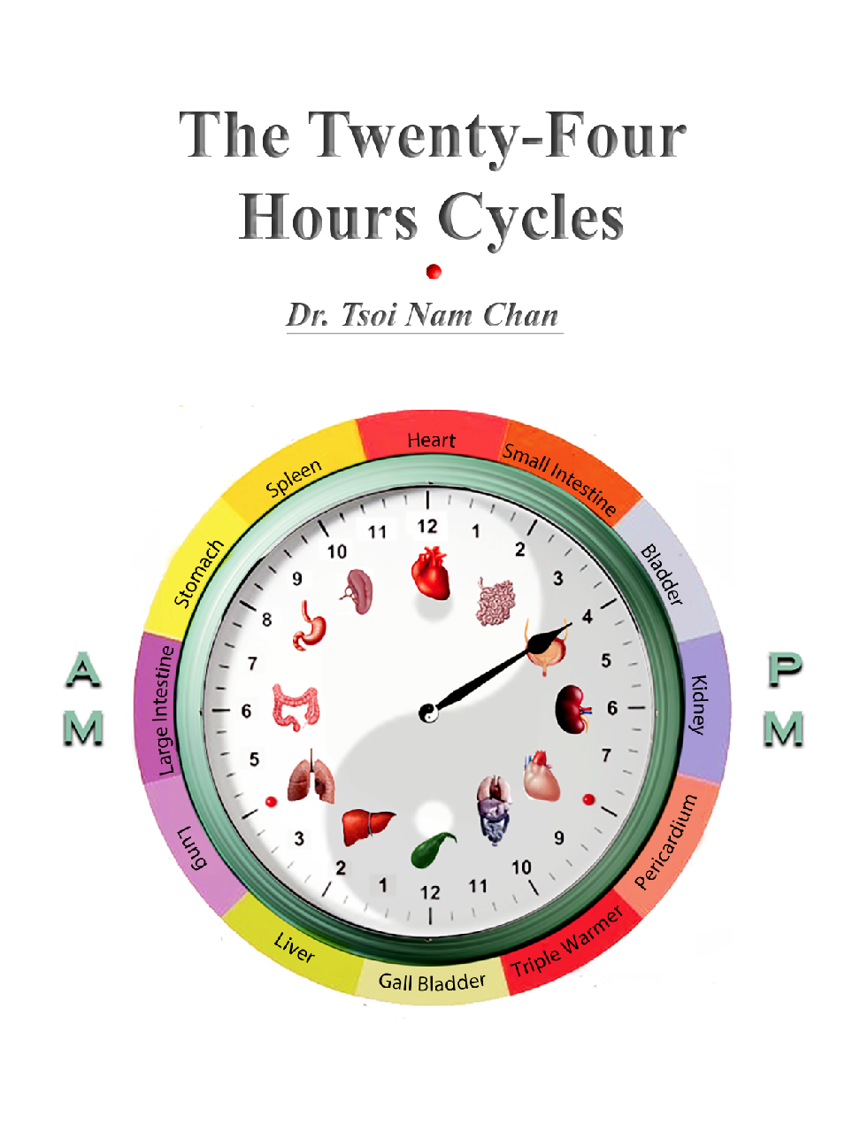 The Twenty-Four Hours Cycles